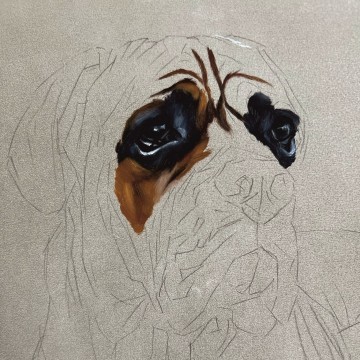 Rachel Stubbs Art - Dog Portait Step One