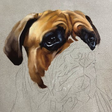 Rachel Stubbs Art - Dog Portait Step Two