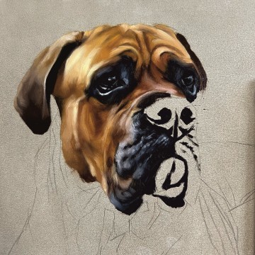 Rachel Stubbs Art - Dog Portait Step Three